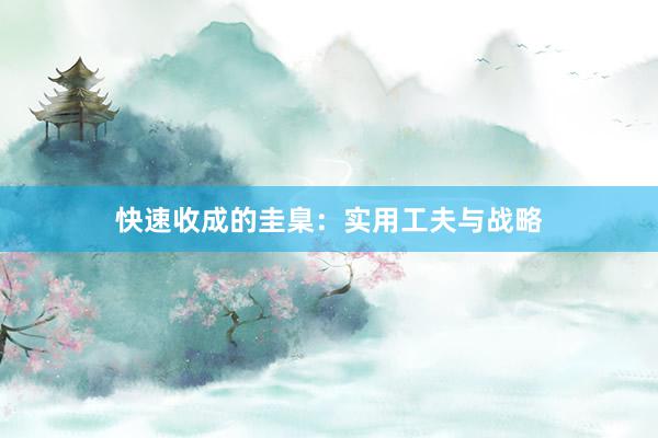 快速收成的圭臬：实用工夫与战略